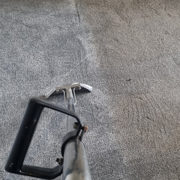 carpet cleaning prices in Tameside for homes and rentals